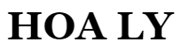 ホアリー｜HOA LY